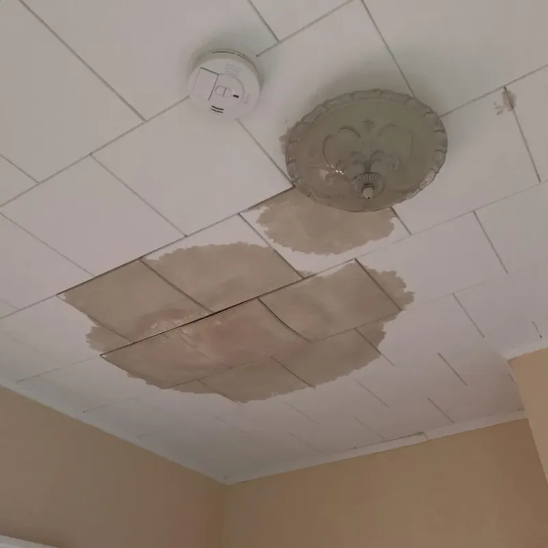 Ceiling Water Damage Repair in Kerens, TX