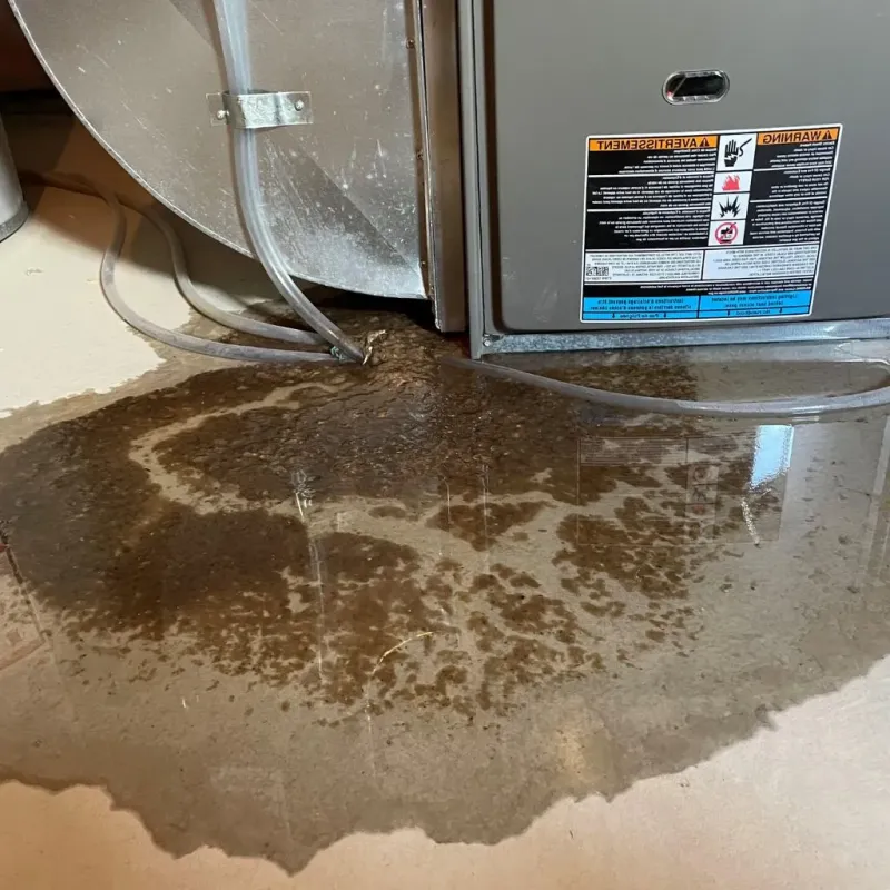 Pipe Burst and Leak Restoration in Kerens, TX