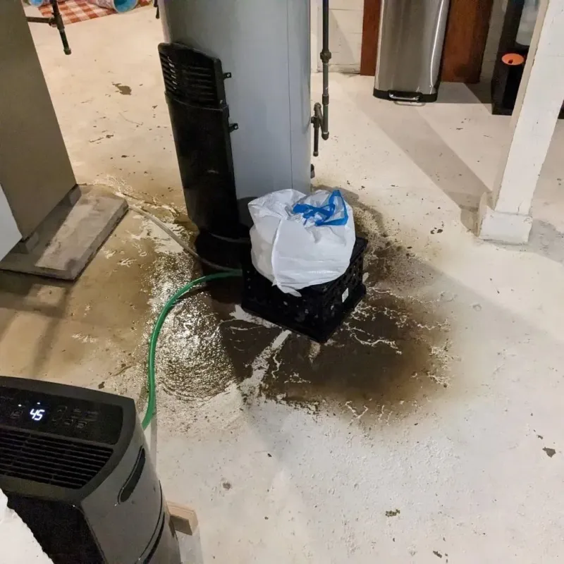 Sewage Backup Cleanup Service in Kerens, TX